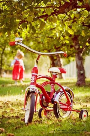 Pictures of Luscious red - Bicycle.JPG